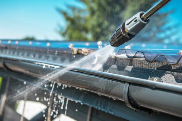 Best Local Pressure Washing Services  in Ovid, MI