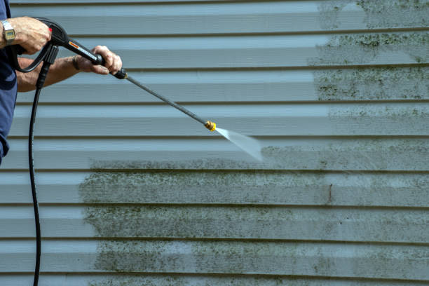 Best Affordable Power Washing  in Ovid, MI