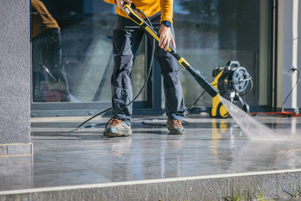 Best Pressure Washing Brick  in Ovid, MI