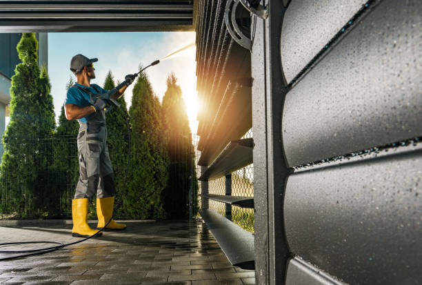 Best Deck Pressure Washing  in Ovid, MI