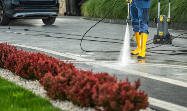 Pressure Washing Contractors in Ovid, MI