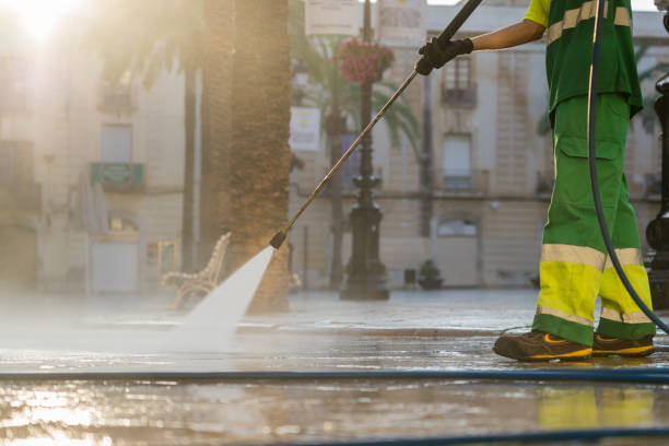 Best Pressure Washing Contractors  in Ovid, MI