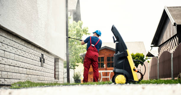 Best Local Pressure Washing Services  in Ovid, MI